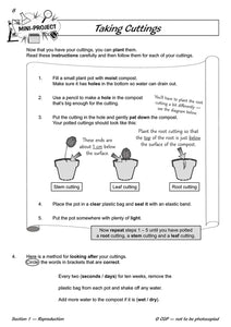 Year 5 Science Home Learning Workbook Bundle for Ages 9-10 KS2